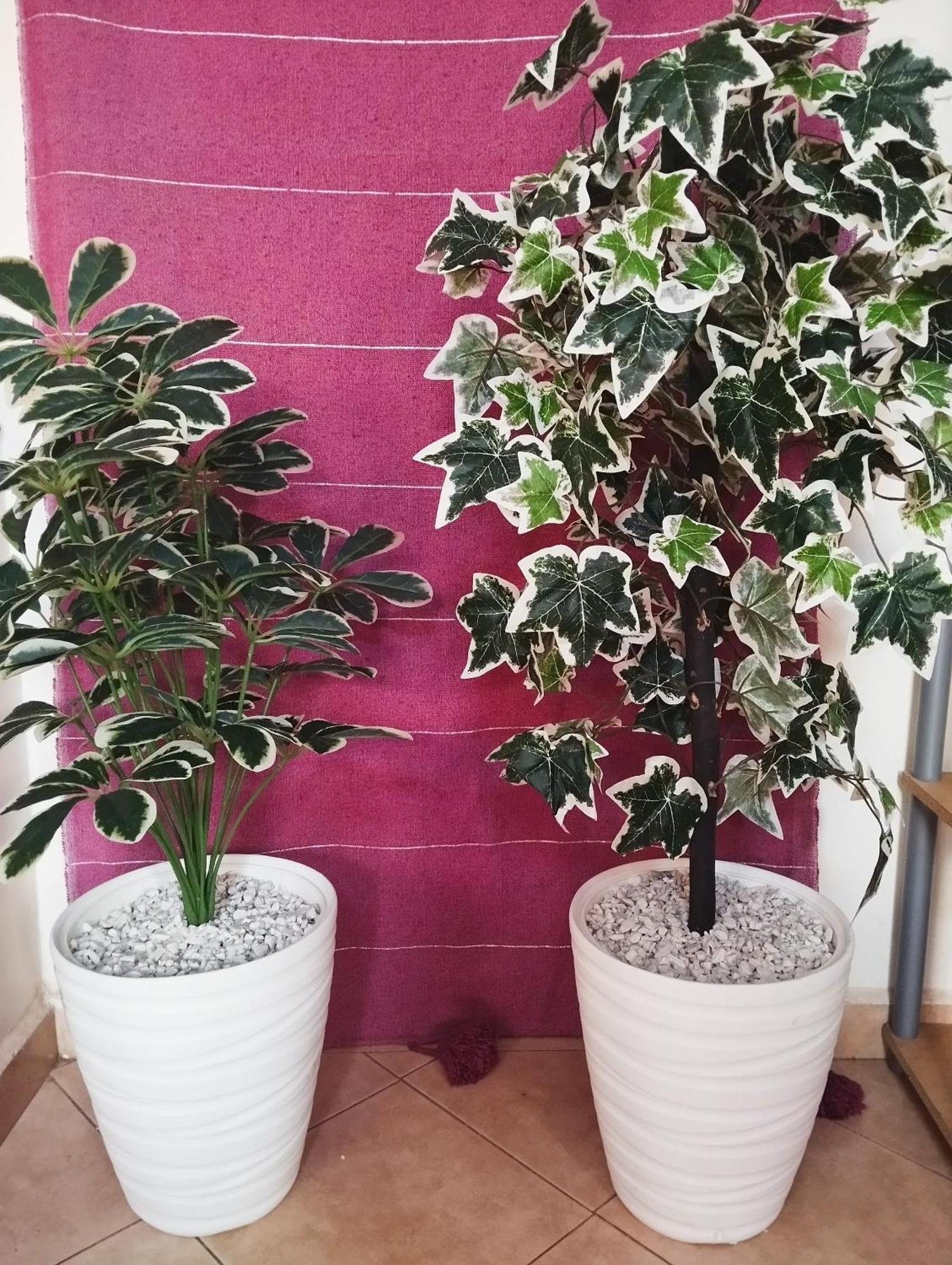 Willa Rico,S House Agadir Zewnętrze zdjęcie
